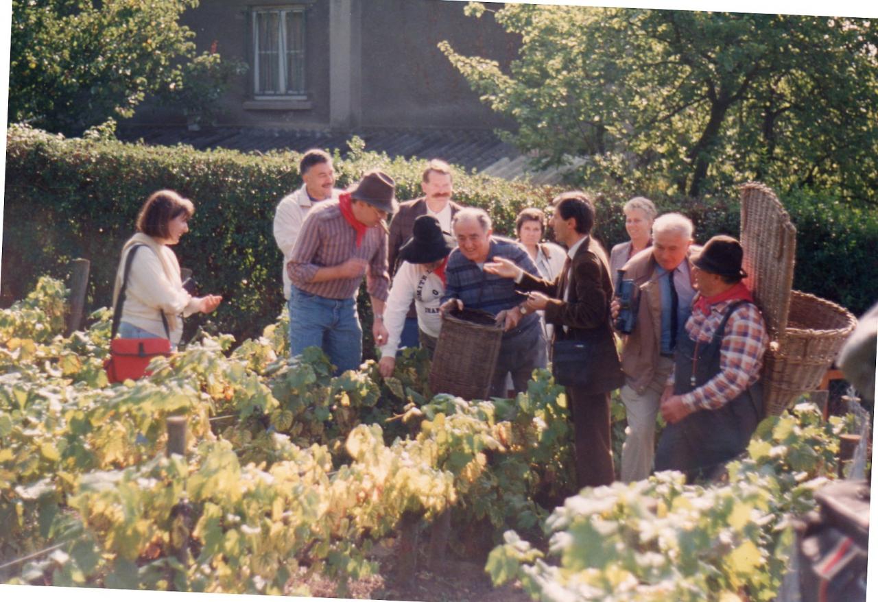 Inauguration d'une vignes à Chanteloup-les-vignes Aoüt 1991